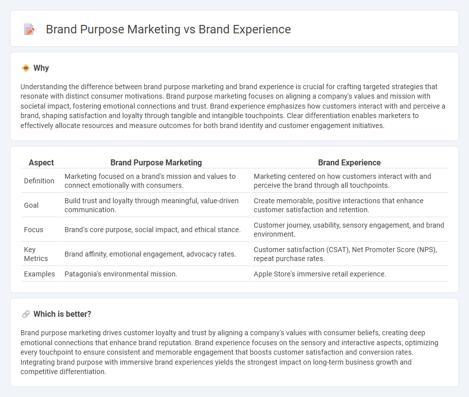 Brand Purpose Marketing vs Brand Experience in Marketing