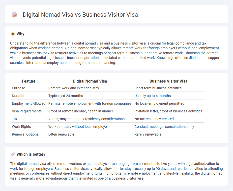 Digital Nomad Visa vs Business Visitor Visa in Employment