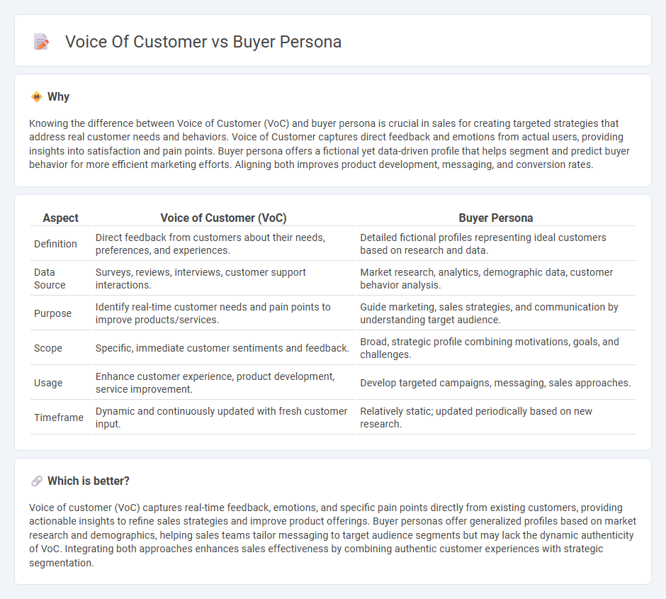 Voice Of Customer vs Buyer Persona in Sales