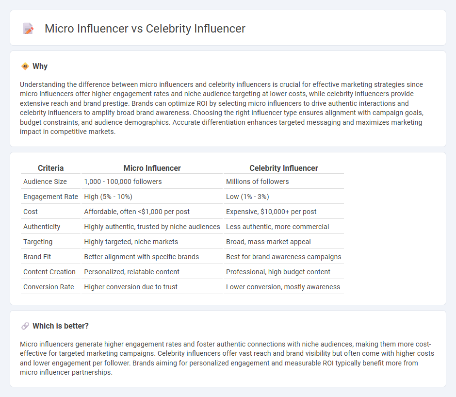 Micro Influencer vs Celebrity Influencer in Marketing