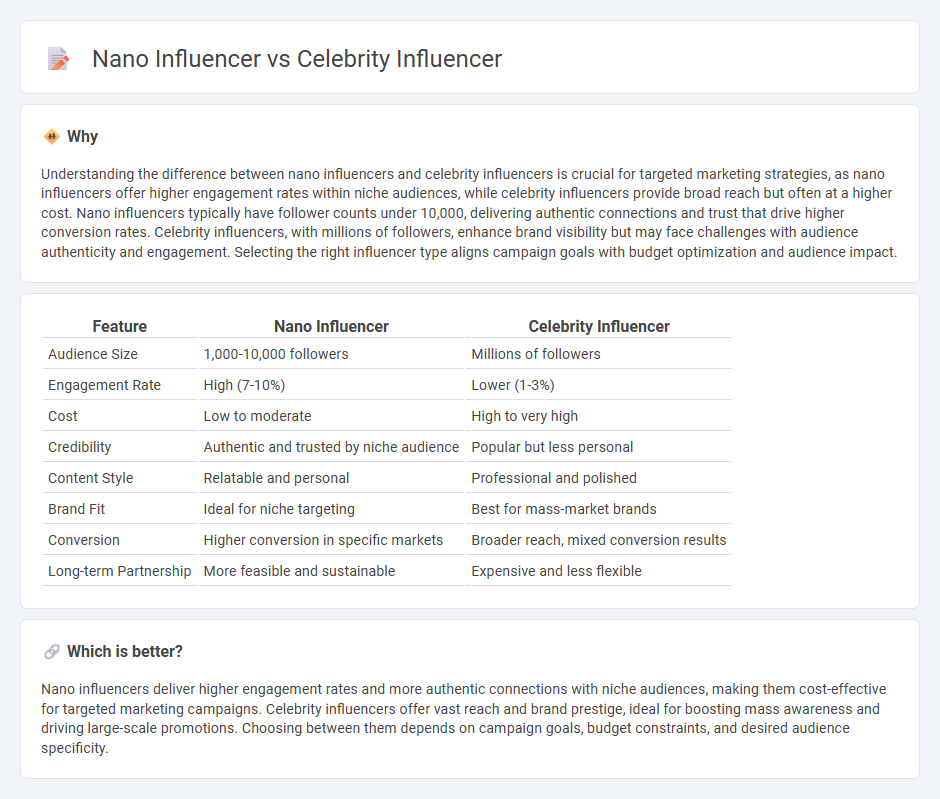 Nano Influencer vs Celebrity Influencer in Marketing