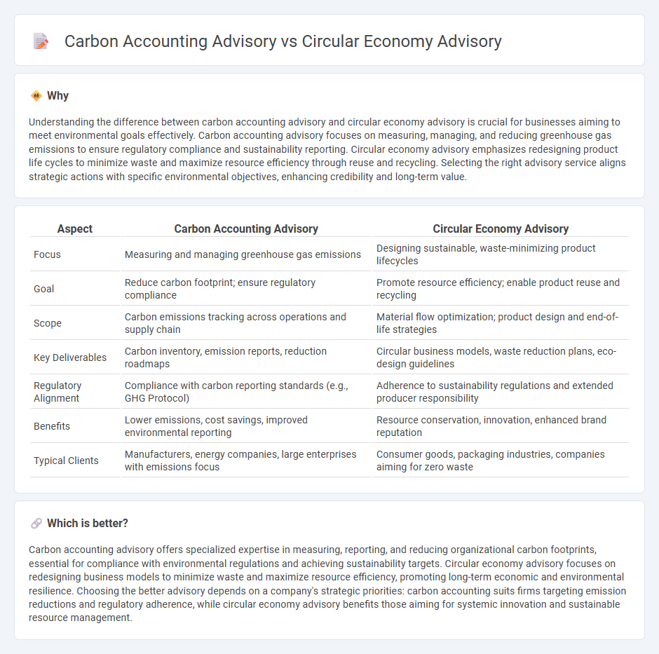 Carbon Accounting Advisory vs Circular Economy Advisory in Consulting