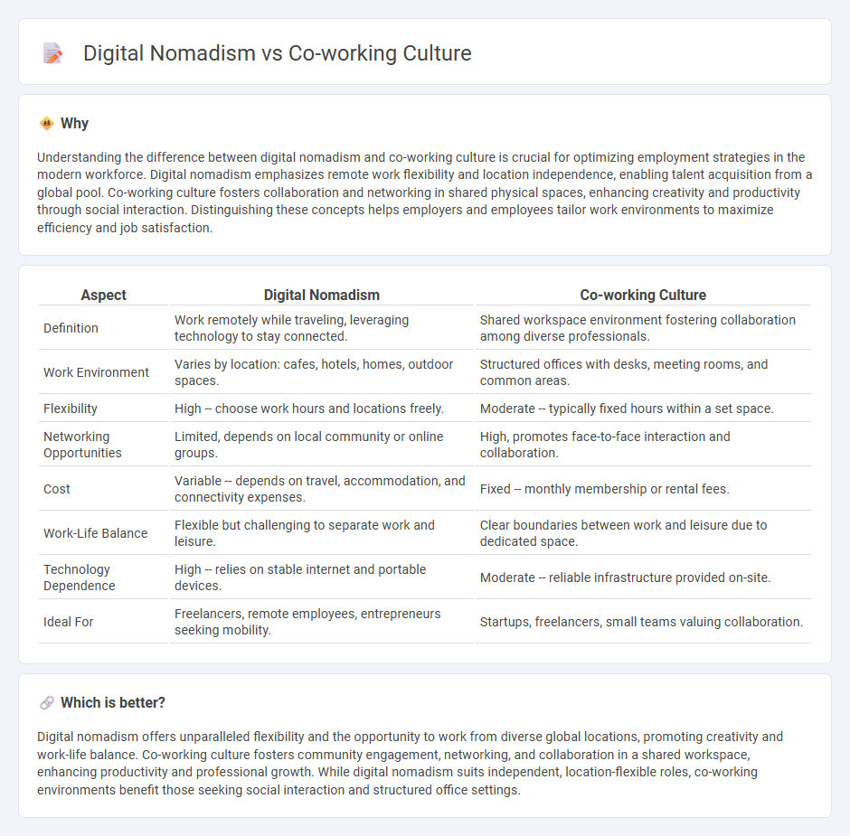 Digital Nomadism vs Co-Working Culture in Employment