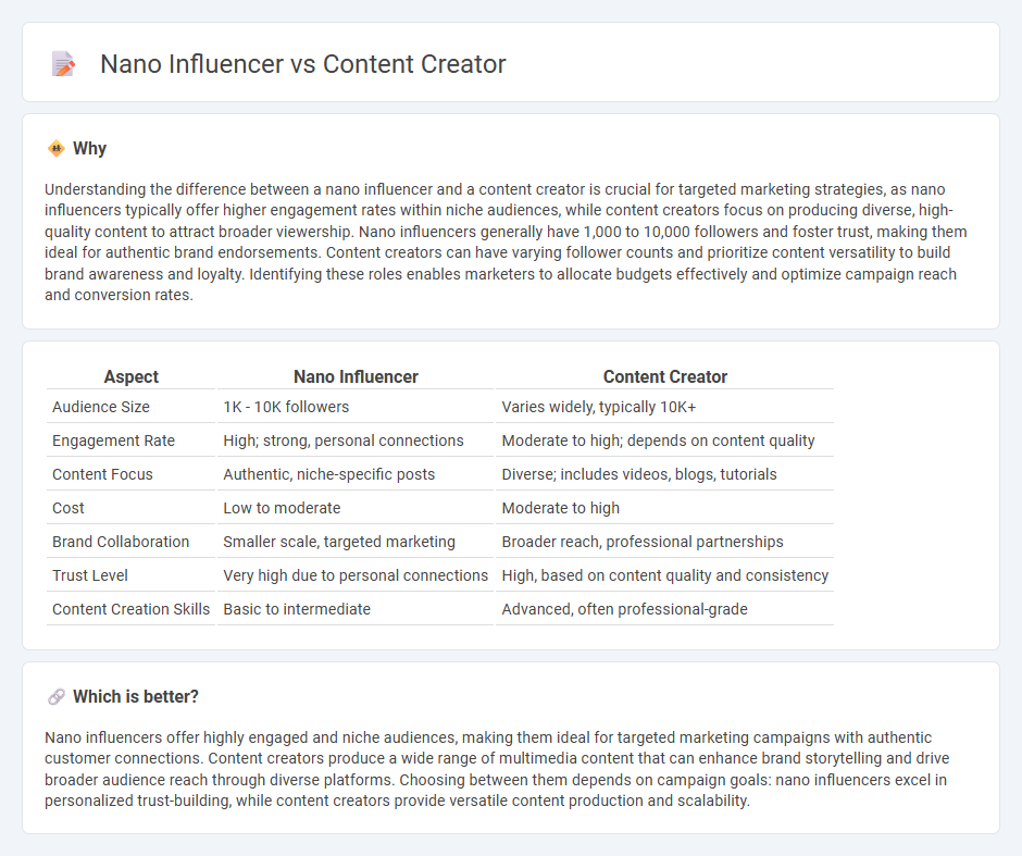 Nano Influencer vs Content Creator in Marketing