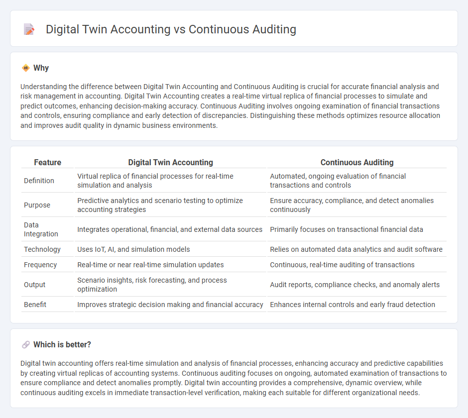 Digital Twin Accounting vs Continuous Auditing in Accounting