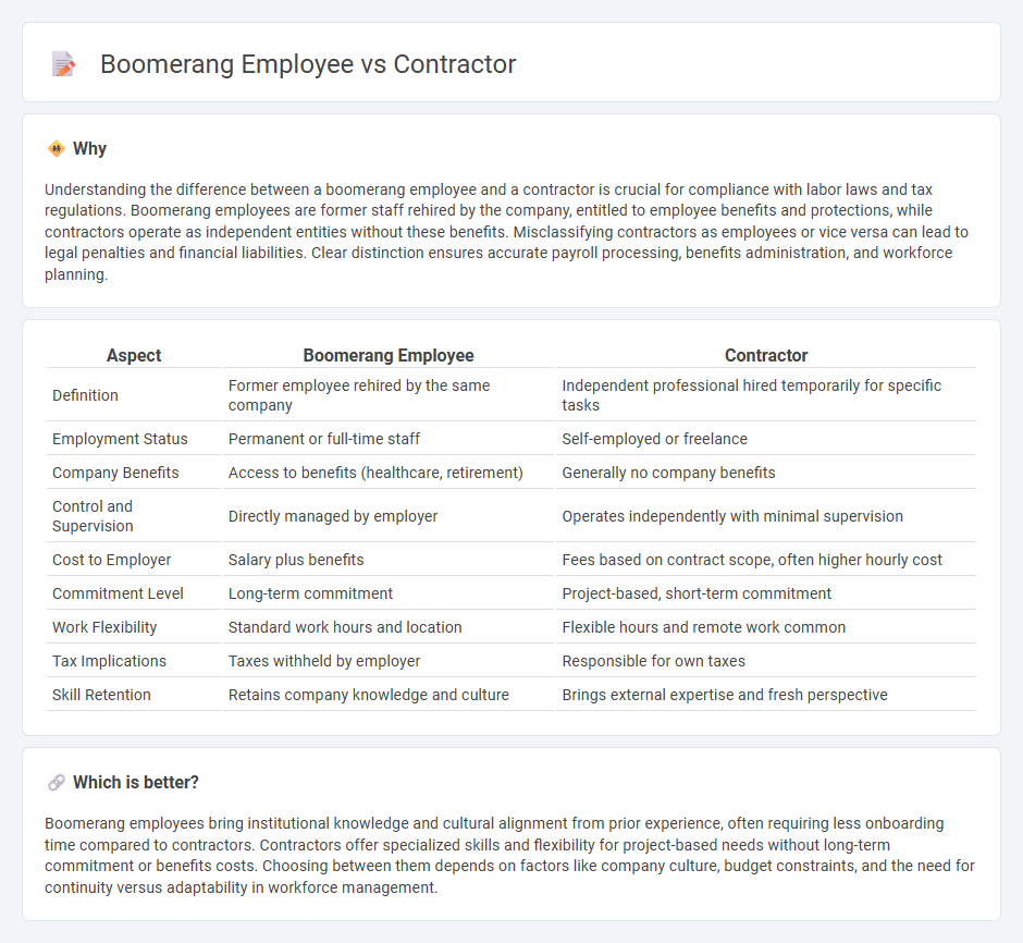 Boomerang Employee vs Contractor in Employment
