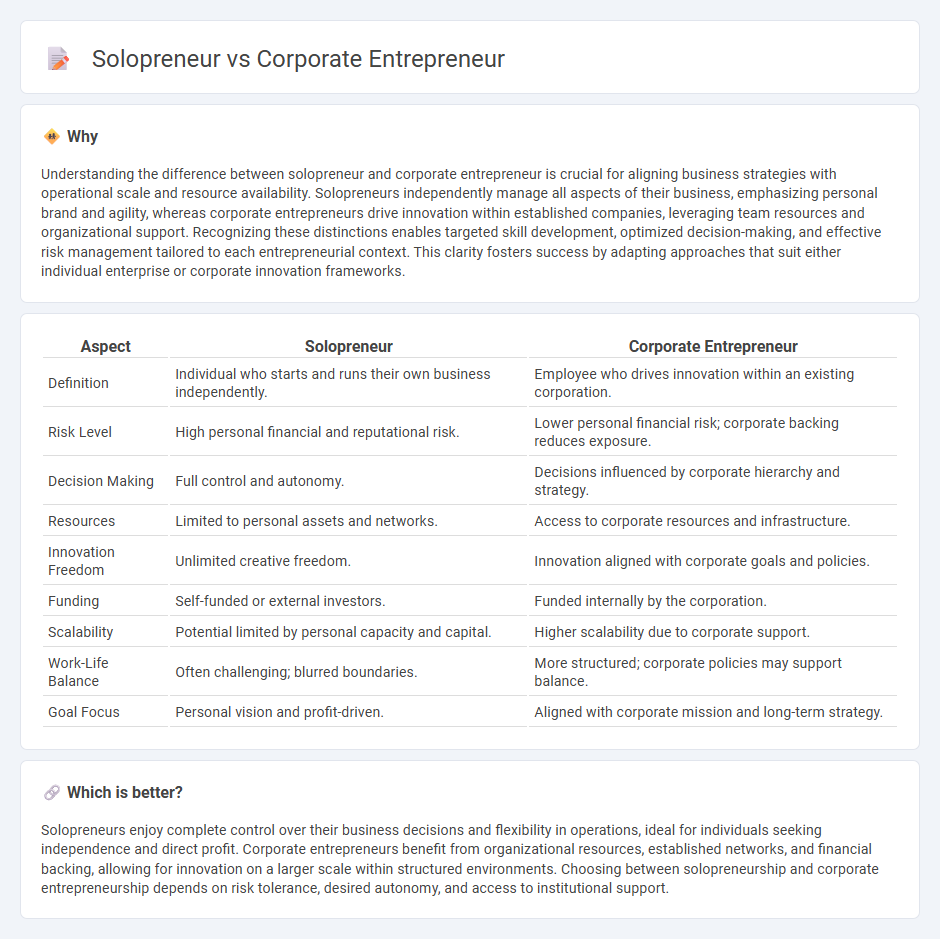 Solopreneur vs Corporate Entrepreneur in Entrepreneurship