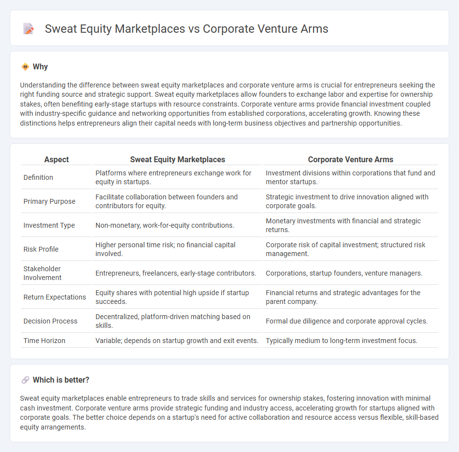 Sweat Equity Marketplaces vs Corporate Venture Arms in Entrepreneurship