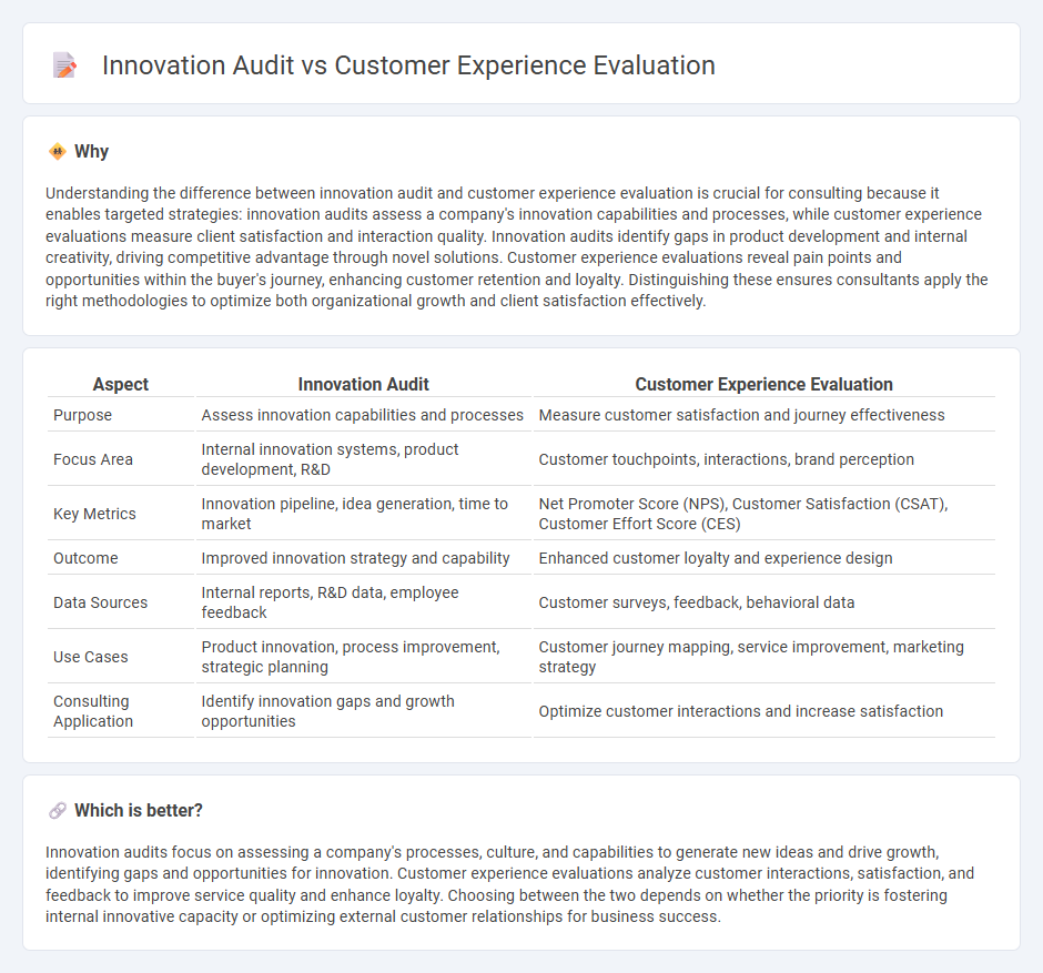 Innovation Audit vs Customer Experience Evaluation in Consulting