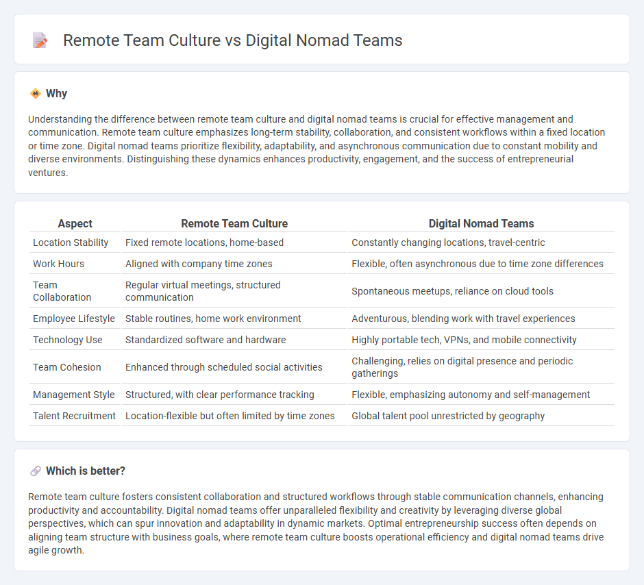 Remote Team Culture vs Digital Nomad Teams in Entrepreneurship