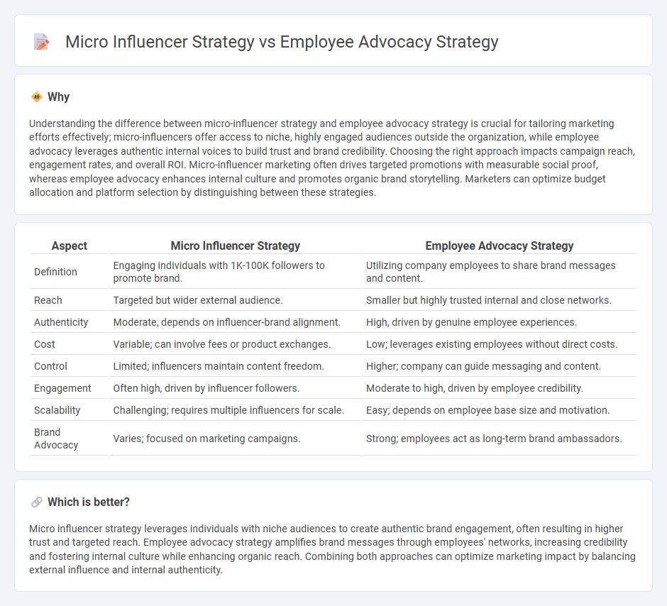 Micro Influencer Strategy vs Employee Advocacy Strategy in Marketing