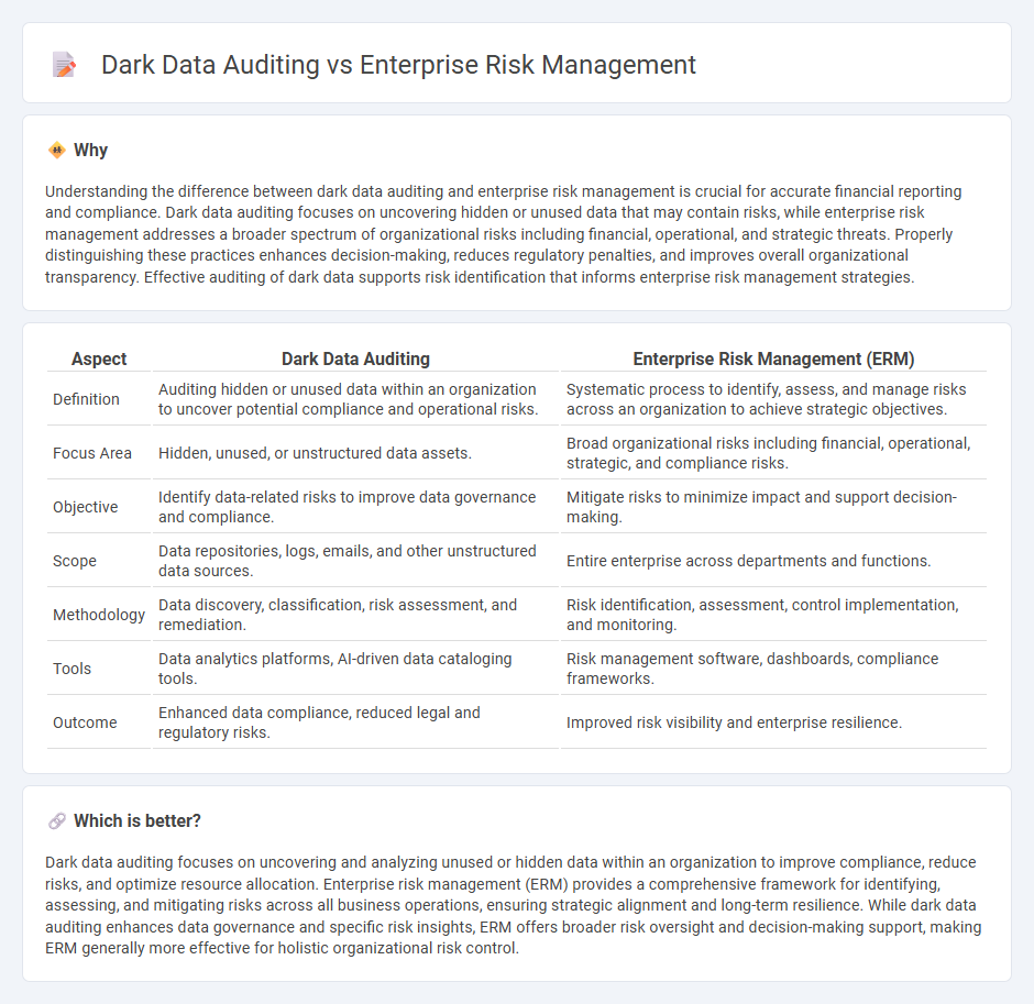 Dark Data Auditing vs Enterprise Risk Management in Accounting