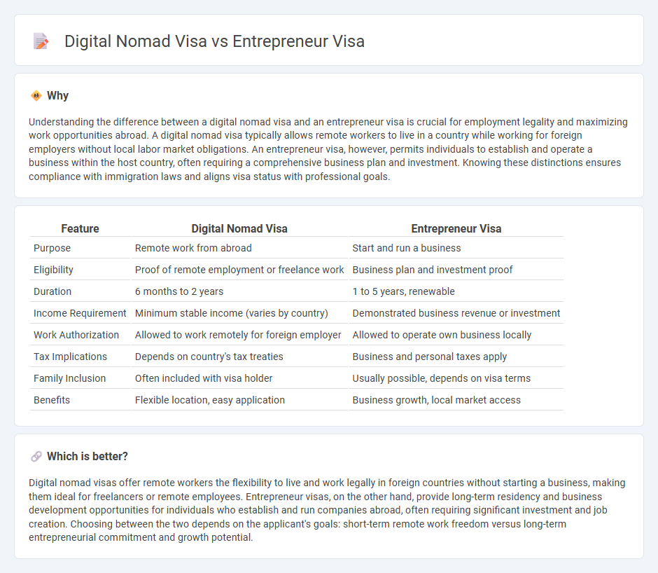 Digital Nomad Visa vs Entrepreneur Visa in Employment