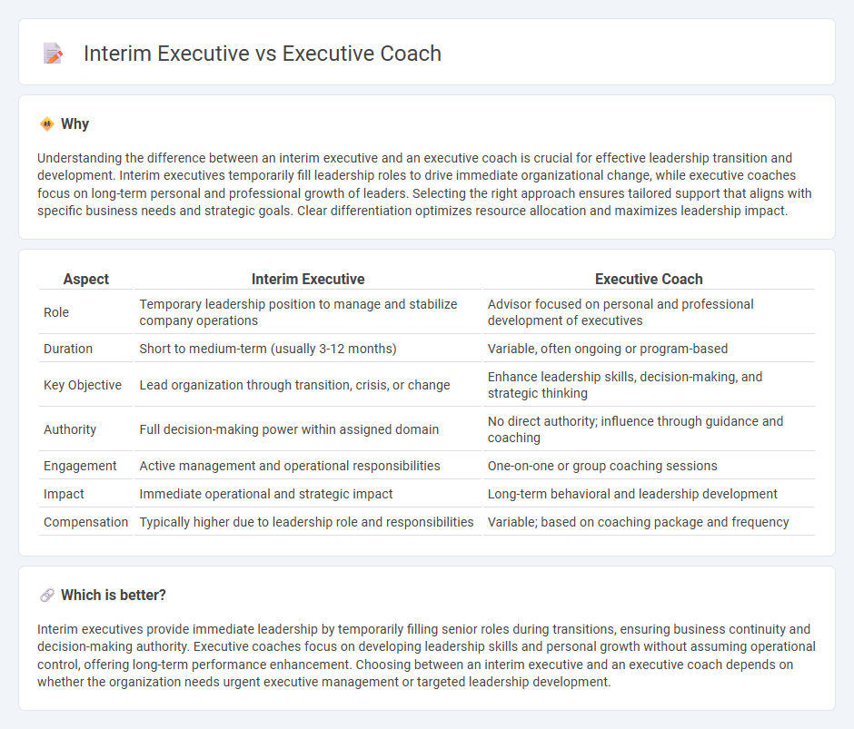 Interim Executive vs Executive Coach in Management