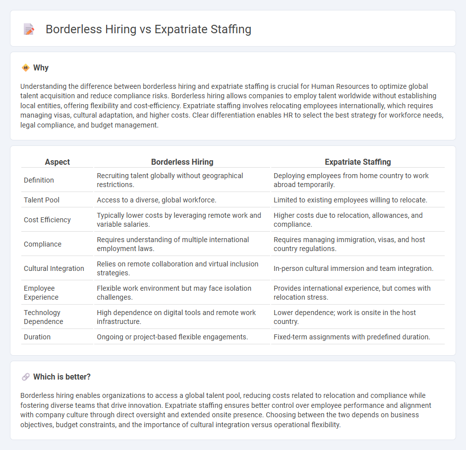 Borderless Hiring vs Expatriate Staffing in Human Resources