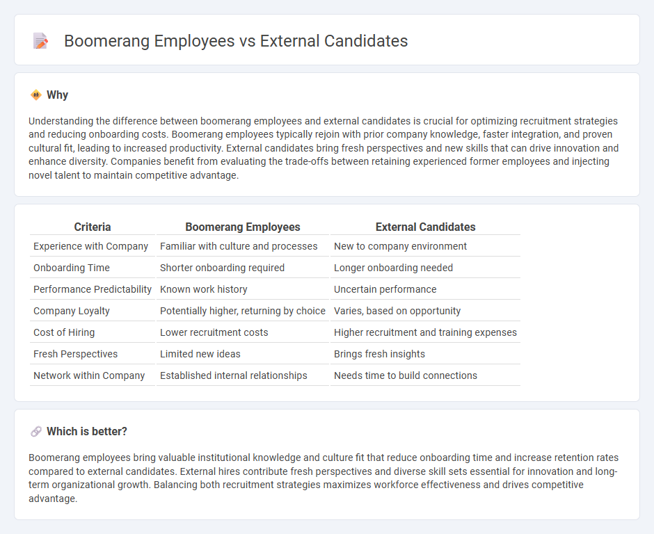 Boomerang Employees vs External Candidates in Employment
