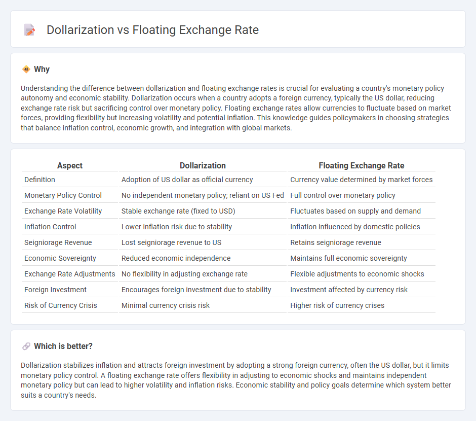 Dollarization vs Floating Exchange Rate in Economy