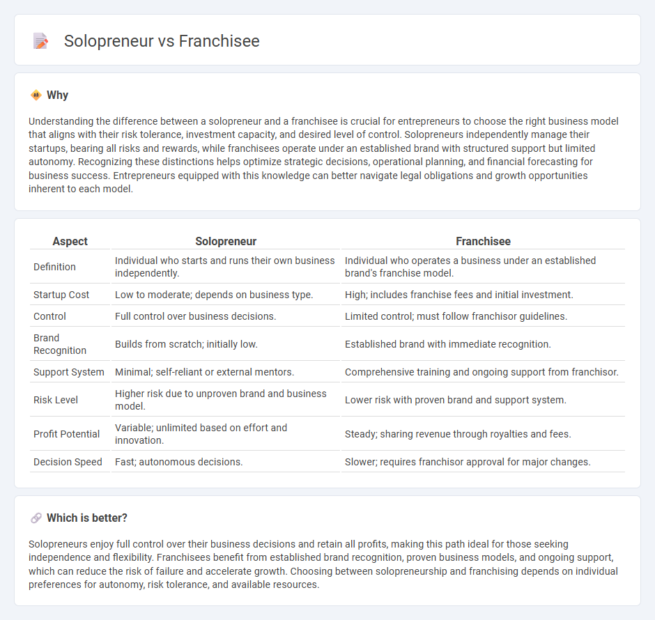 Solopreneur vs Franchisee in Entrepreneurship