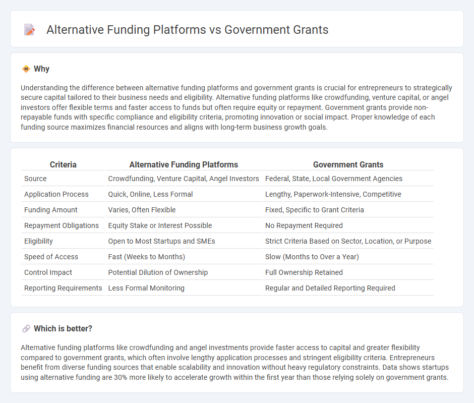 Alternative Funding Platforms vs Government Grants in Entrepreneurship