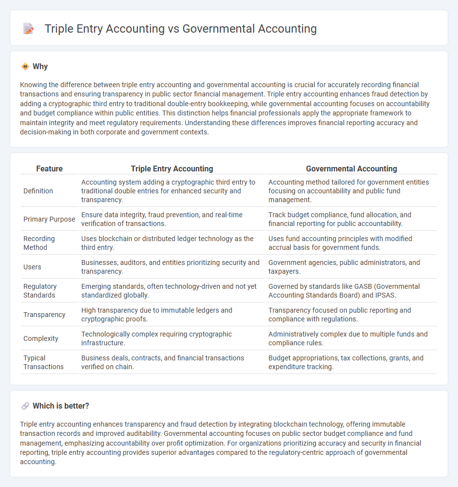 Triple Entry Accounting vs Governmental Accounting in Accounting