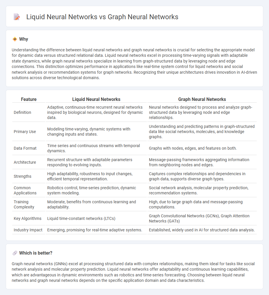 Liquid Neural Networks vs Graph Neural Networks in Technology