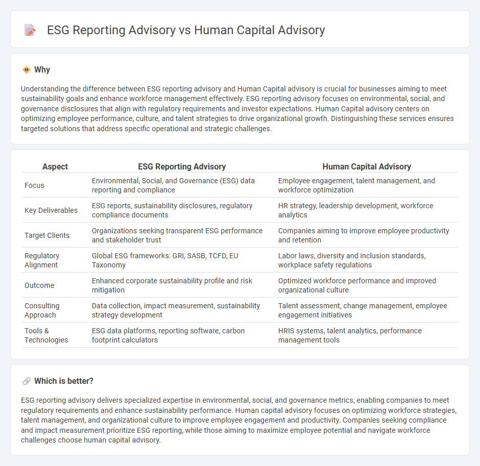 Esg Reporting Advisory vs Human Capital Advisory in Consulting