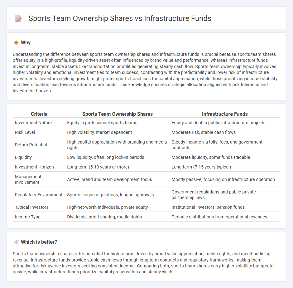 Sports Team Ownership Shares vs Infrastructure Funds in Investment
