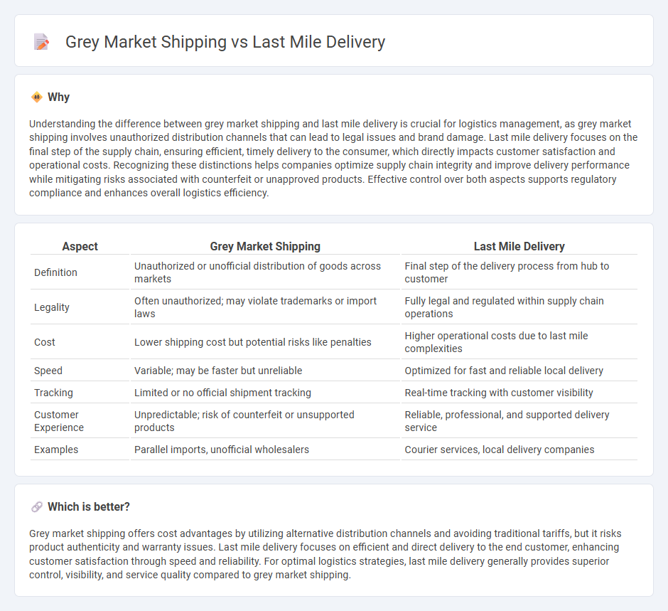 Grey Market Shipping vs Last Mile Delivery in Logistics