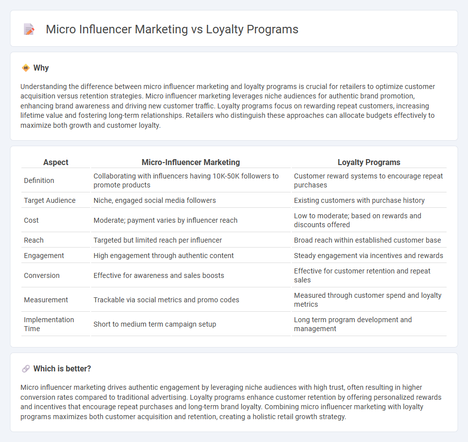 Micro Influencer Marketing vs Loyalty Programs in Retail