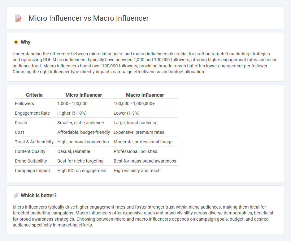 Micro Influencer vs Macro Influencer in Marketing