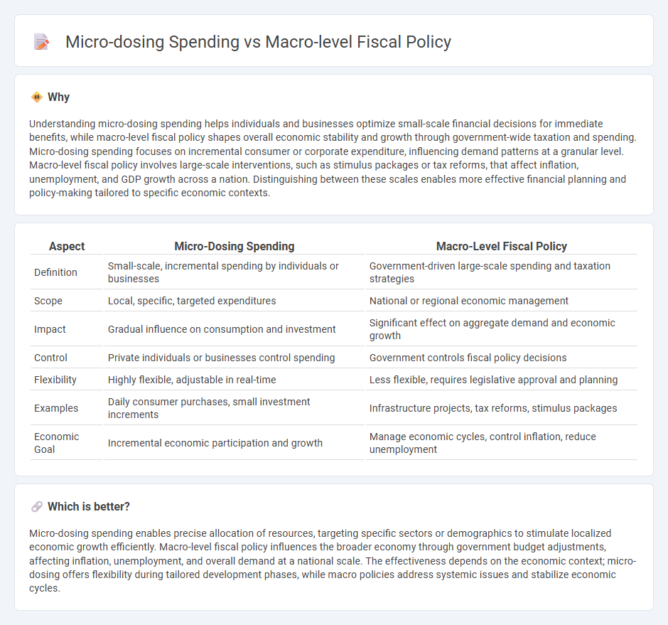 Micro-Dosing Spending vs Macro-Level Fiscal Policy in Economy