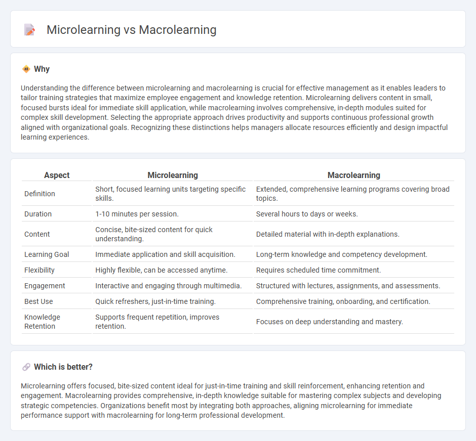 Microlearning vs Macrolearning in Management