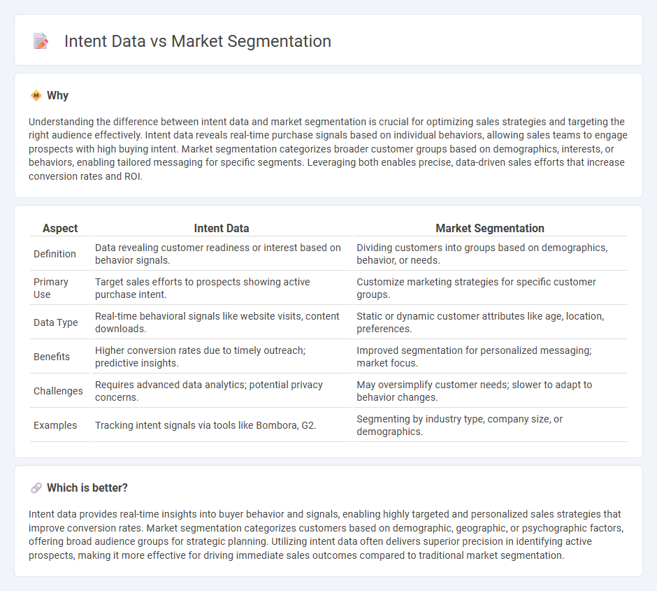 Intent Data vs Market Segmentation in Sales