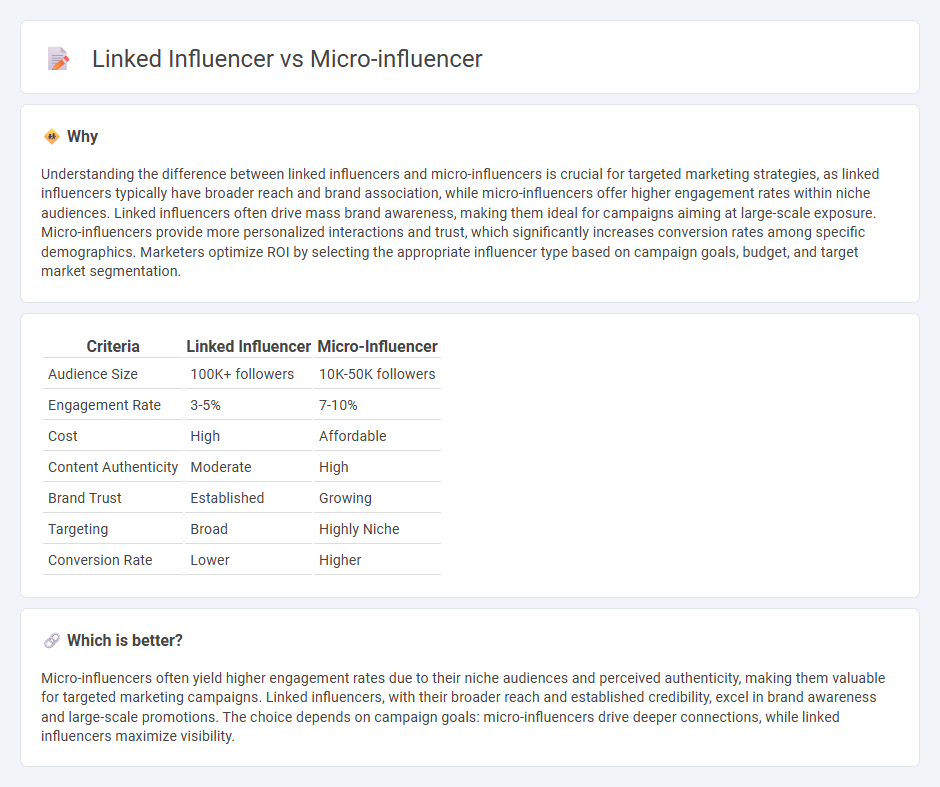 Linked Influencer vs Micro-Influencer in Marketing