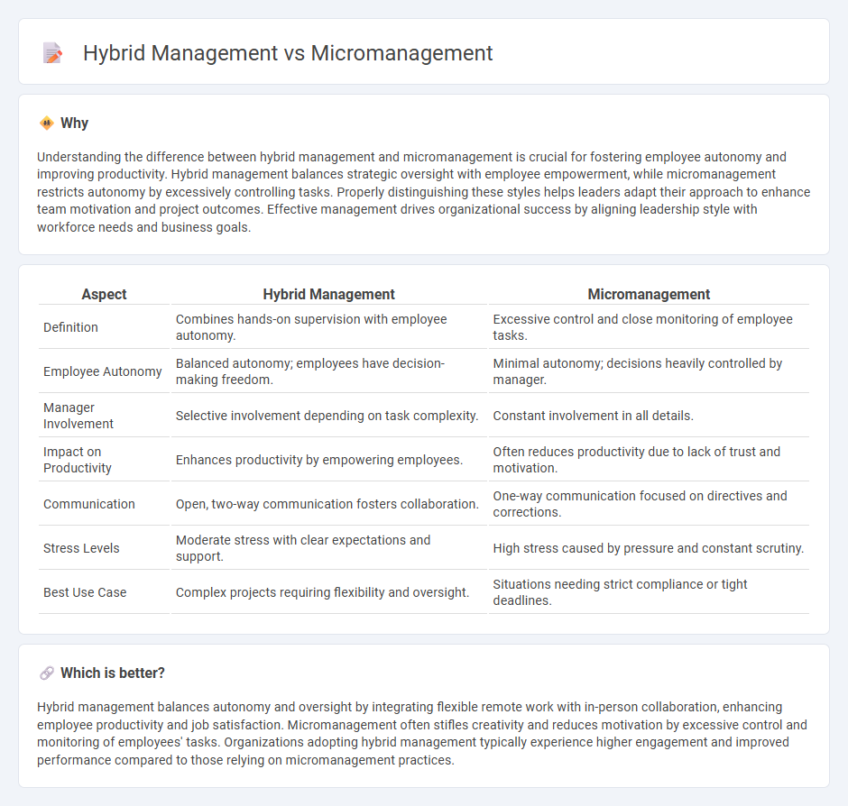 Hybrid Management vs Micromanagement in Management
