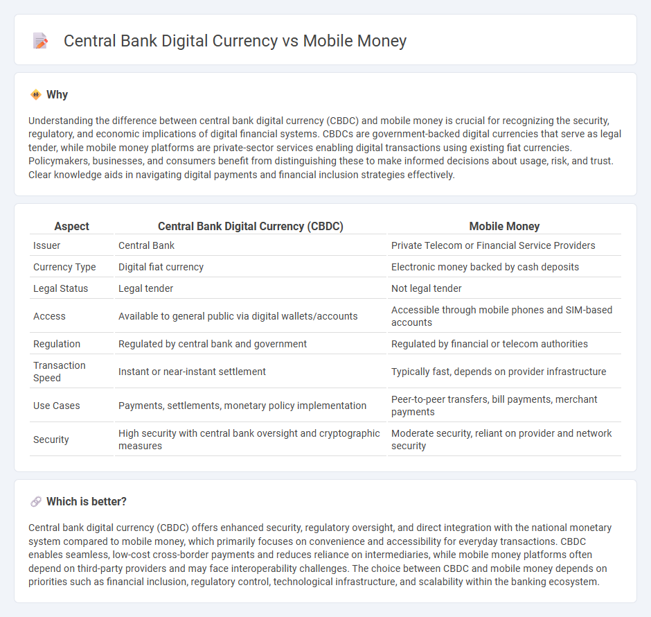 Central Bank Digital Currency vs Mobile Money in Banking