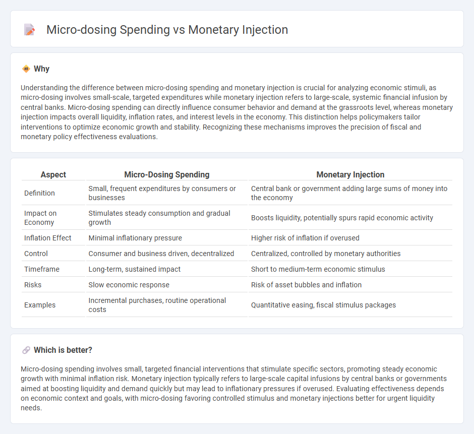 Micro-Dosing Spending vs Monetary Injection in Economy