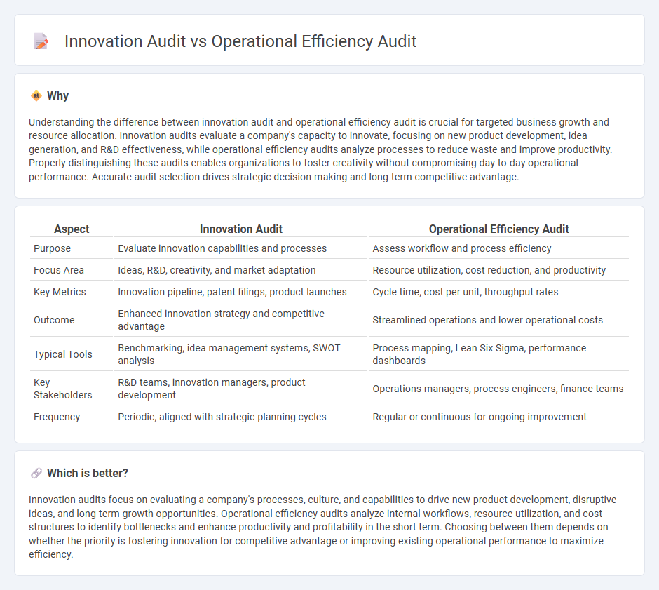 Innovation Audit vs Operational Efficiency Audit in Consulting
