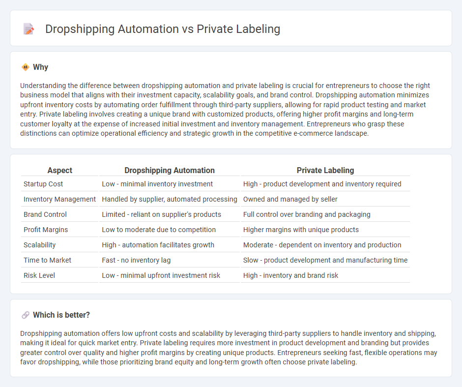 Dropshipping Automation vs Private Labeling in Entrepreneurship