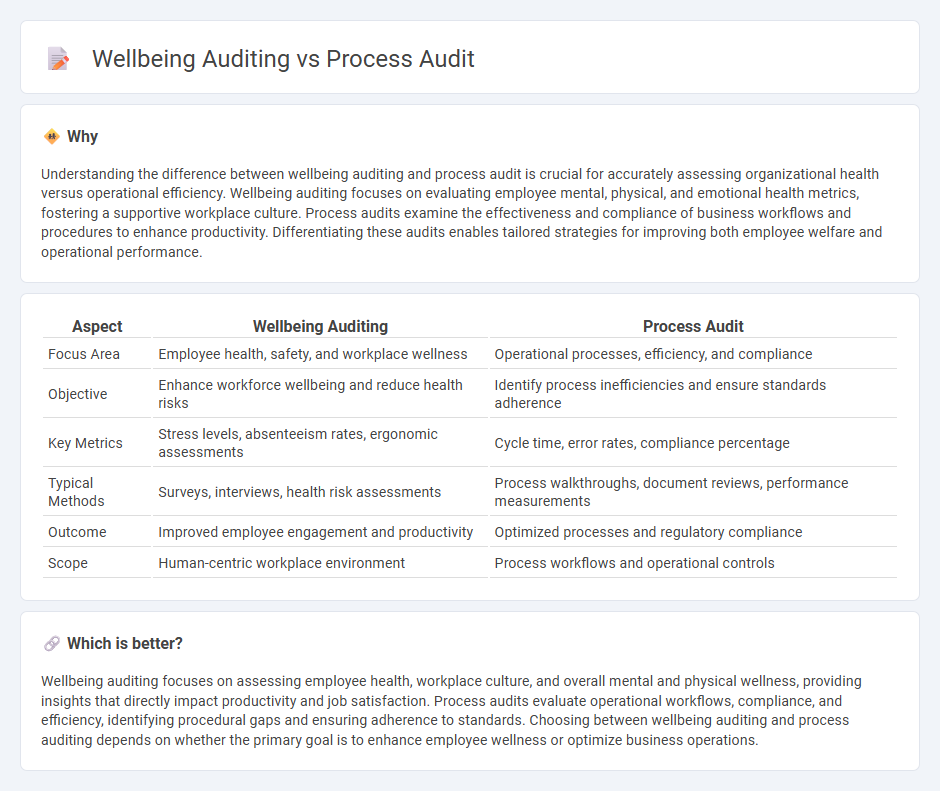 Wellbeing Auditing vs Process Audit in Consulting