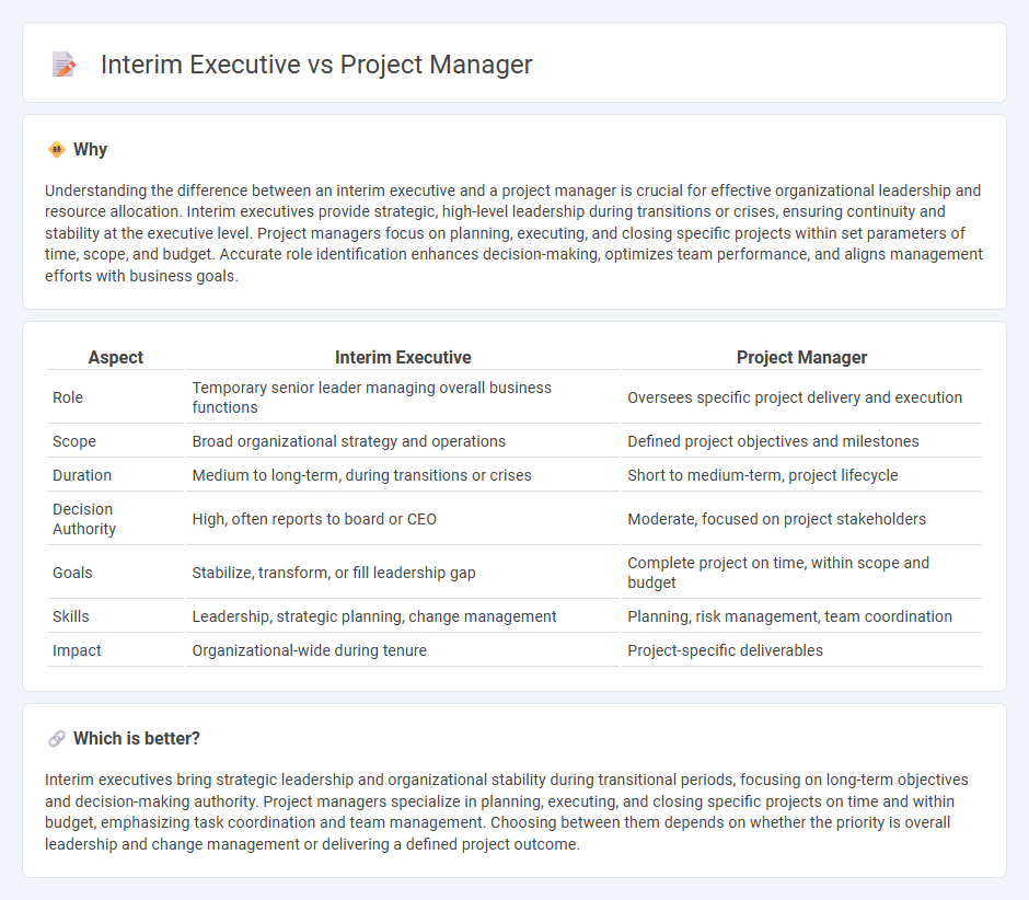 Interim Executive vs Project Manager in Management