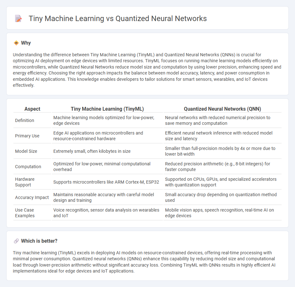 Tiny Machine Learning vs Quantized Neural Networks in Technology