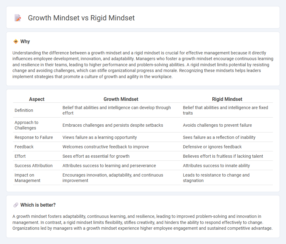 Growth Mindset vs Rigid Mindset in Management