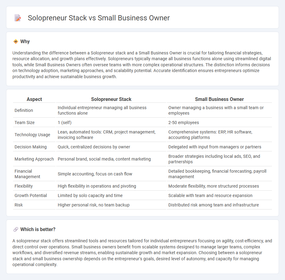 Solopreneur Stack vs Small Business Owner in Entrepreneurship