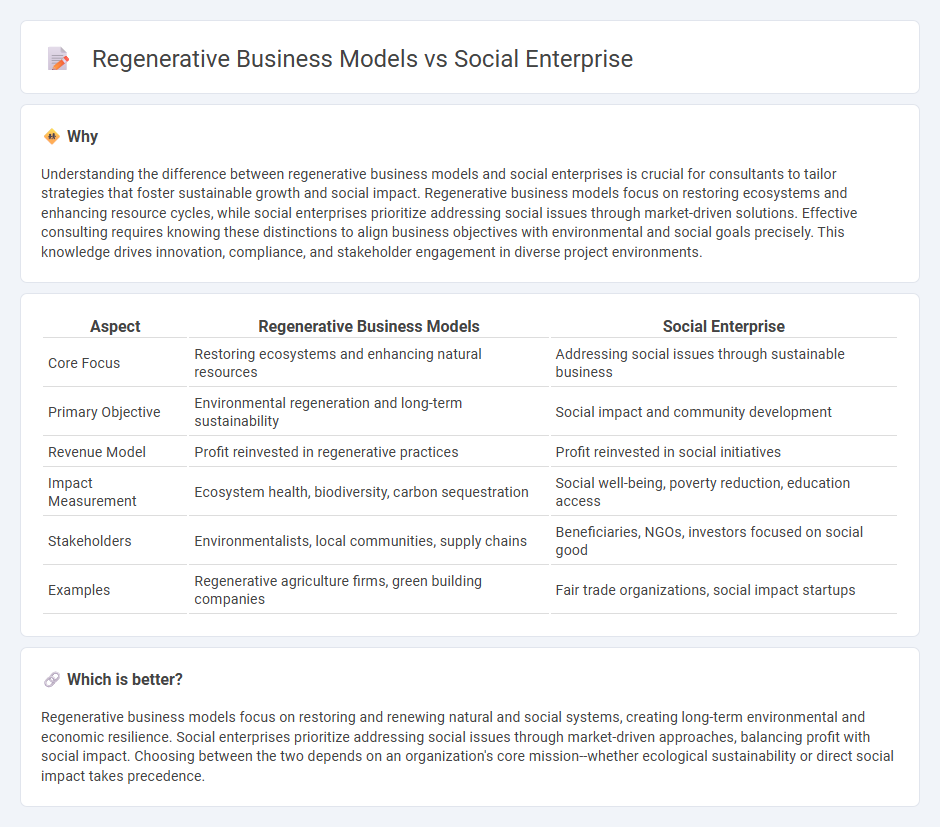 Regenerative Business Models vs Social Enterprise in Consulting