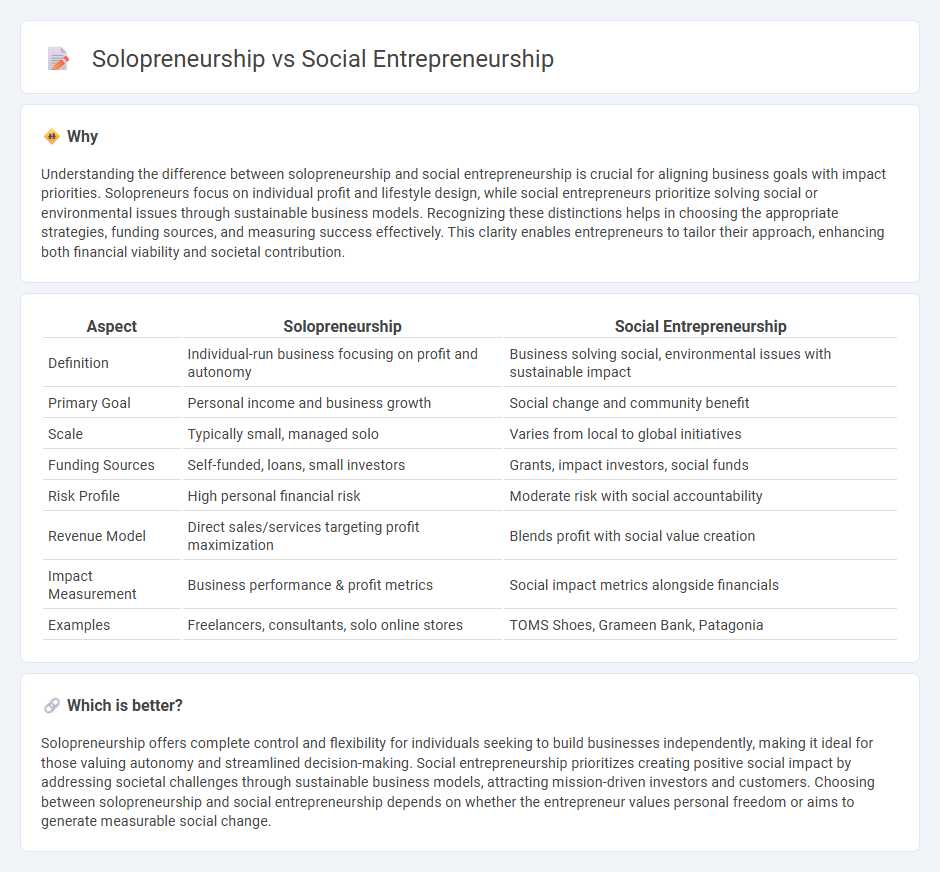 Solopreneurship vs Social Entrepreneurship in Entrepreneurship