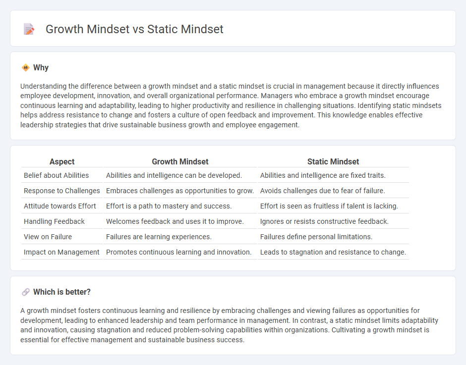 Growth Mindset vs Static Mindset in Management