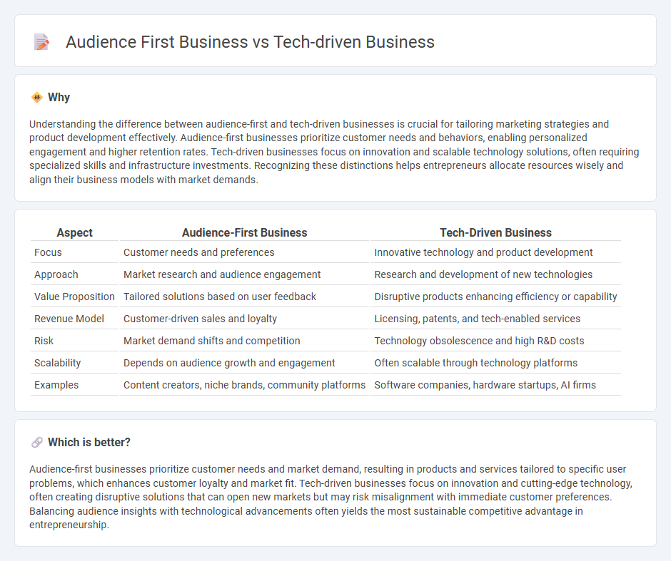 Audience First Business vs Tech-Driven Business in Entrepreneurship