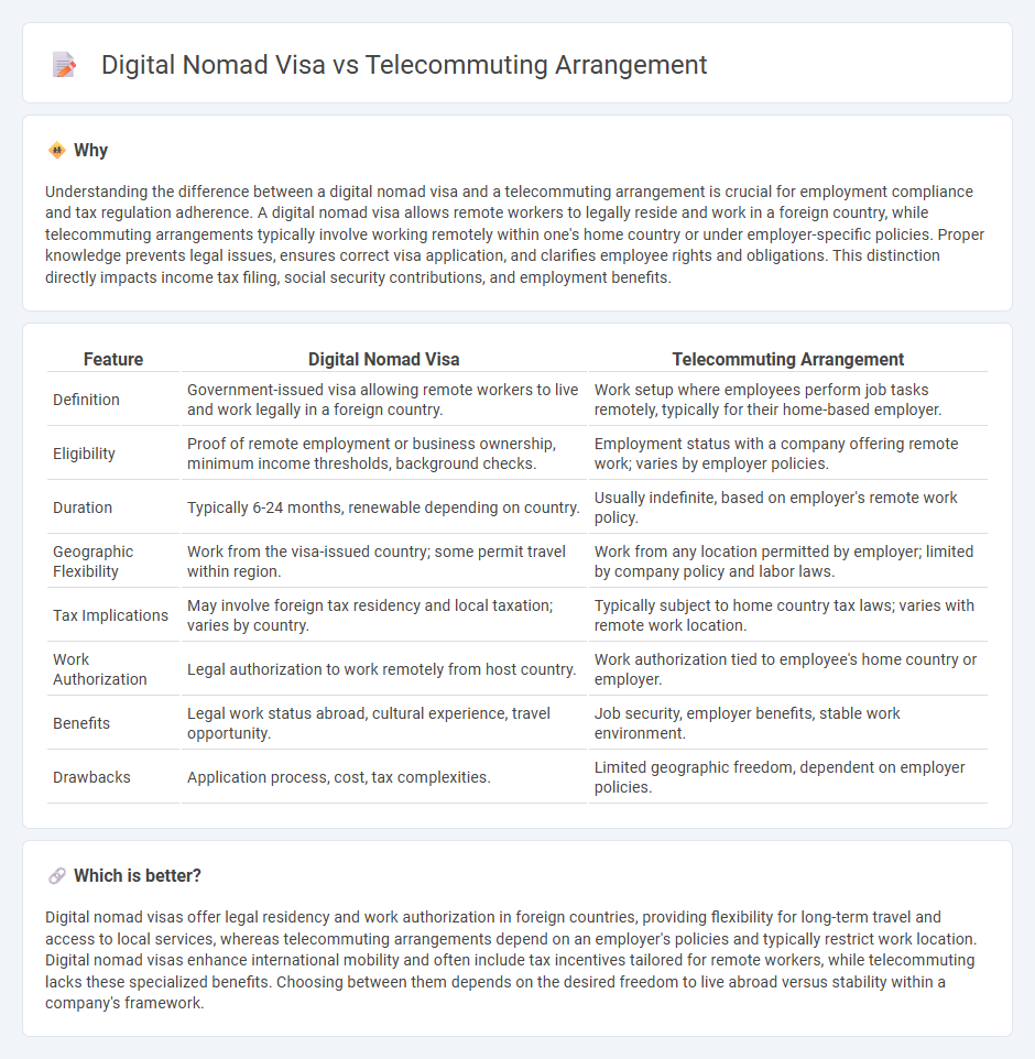 Digital Nomad Visa vs Telecommuting Arrangement in Employment