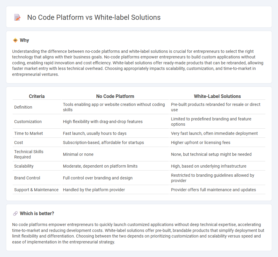 No Code Platform vs White-Label Solutions in Entrepreneurship